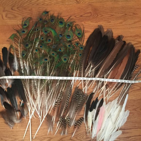 LOT 140 NATURAL PEACOCK BIRD FEATHER BOHO FESTIVAL CRAFT ART HOBBY COSTUME DECOR - Picture 14 of 16